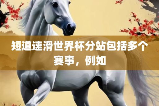 短道速滑世界杯分站包括多个赛事，例如