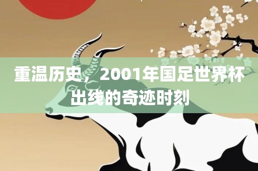 重温历史，2001年国足世界杯出线的奇迹时刻