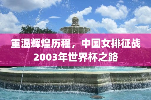 重温辉煌历程，中国女排征战2003年世界杯之路