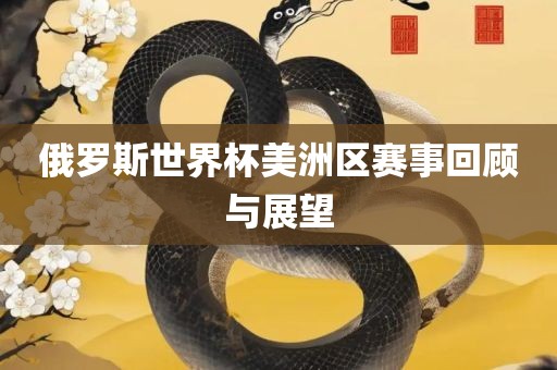 俄罗斯世界杯美洲区赛事回顾与展望