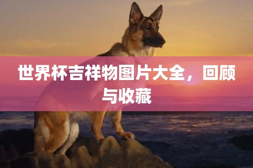 世界杯吉祥物图片大全，回顾与收藏