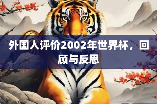 外国人评价2002年世界杯，回顾与反思