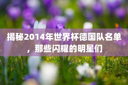 揭秘2014年世界杯德国队名单，那些闪耀的明星们