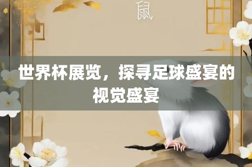 世界杯展览，探寻足球盛宴的视觉盛宴