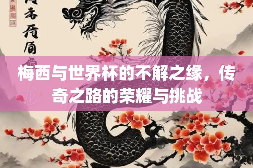 梅西与世界杯的不解之缘，传奇之路的荣耀与挑战