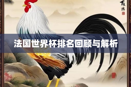 法国世界杯排名回顾与解析