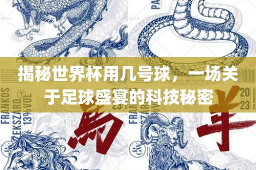 揭秘世界杯用几号球，一场关于足球盛宴的科技秘密