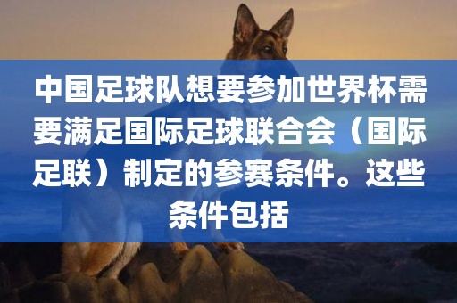 中国足球队想要参加世界杯需要满足国际足球联合会（国际足联）制定的参赛条件。这些条件包括