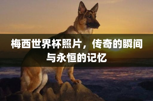 梅西世界杯照片，传奇的瞬间与永恒的记忆