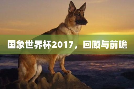 国象世界杯2017，回顾与前瞻