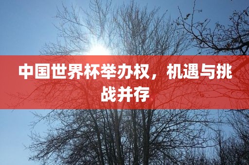中国世界杯举办权，机遇与挑战并存