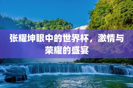 张耀坤眼中的世界杯，激情与荣耀的盛宴