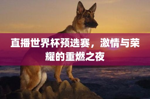 直播世界杯预选赛，激情与荣耀的重燃之夜