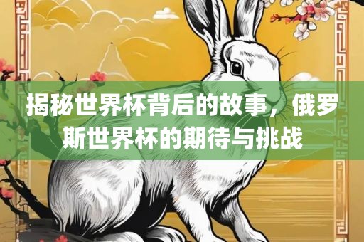 揭秘世界杯背后的故事，俄罗斯世界杯的期待与挑战