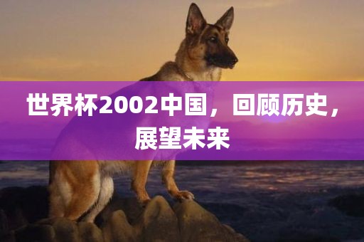 世界杯2002中国，回顾历史，展望未来