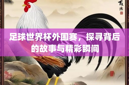 足球世界杯外围赛，探寻背后的故事与精彩瞬间