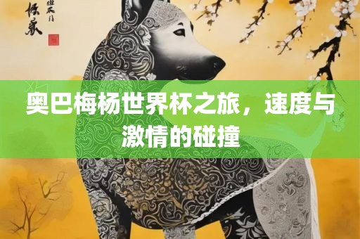 奥巴梅杨世界杯之旅，速度与激情的碰撞