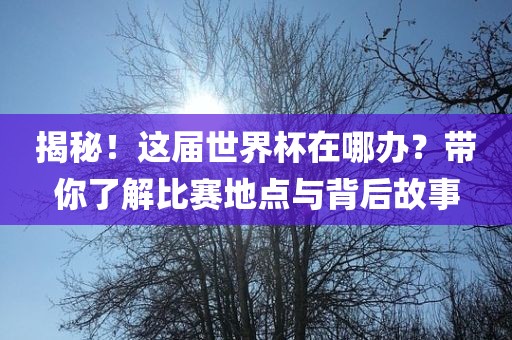 揭秘！这届世界杯在哪办？带你了解比赛地点与背后故事