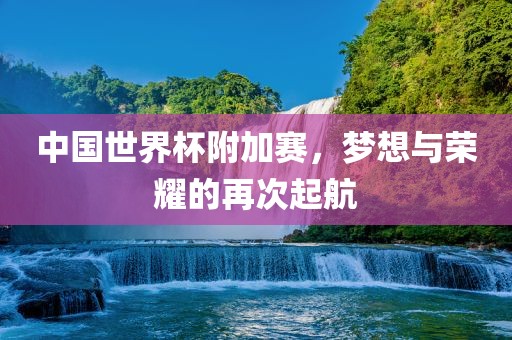 中国世界杯附加赛，梦想与荣耀的再次起航