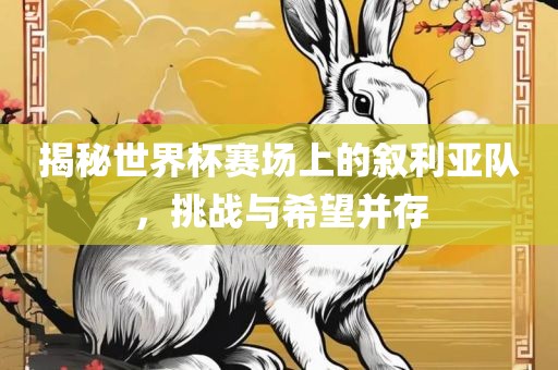 揭秘世界杯赛场上的叙利亚队，挑战与希望并存