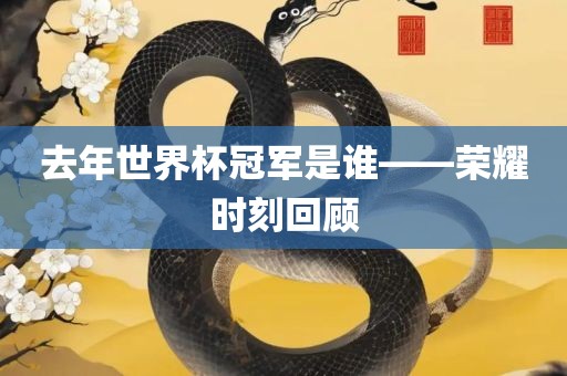 去年世界杯冠军是谁——荣耀时刻回顾
