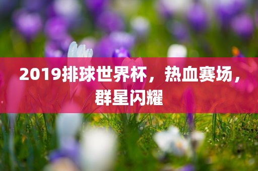 2019排球世界杯，热血赛场，群星闪耀