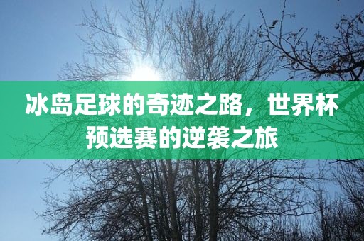 冰岛足球的奇迹之路，世界杯预选赛的逆袭之旅
