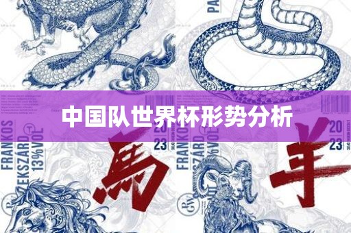 中国队世界杯形势分析