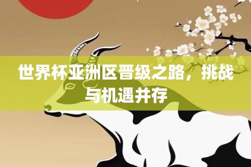世界杯亚洲区晋级之路，挑战与机遇并存