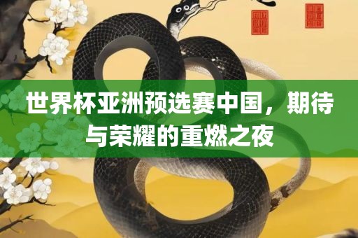 世界杯亚洲预选赛中国，期待与荣耀的重燃之夜