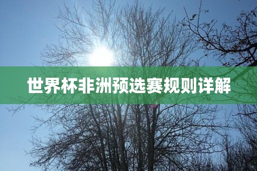 世界杯非洲预选赛规则详解