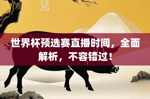 世界杯预选赛直播时间，全面解析，不容错过！