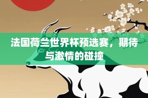 期待与激情的碰撞 第2页