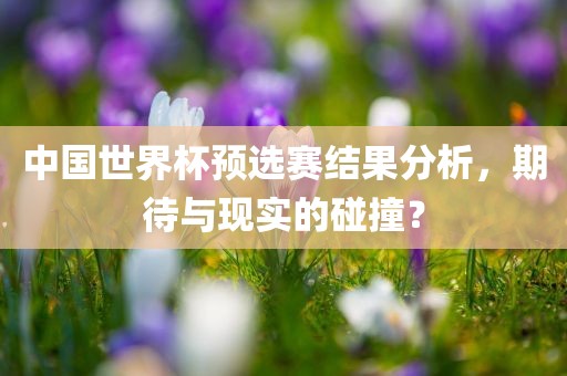 中国世界杯预选赛结果分析，期待与现实的碰撞？