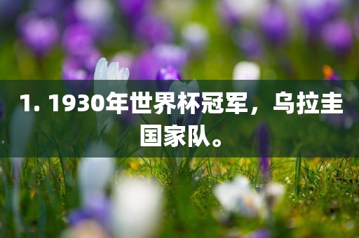 1. 1930年世界杯冠军，乌拉圭国家队。