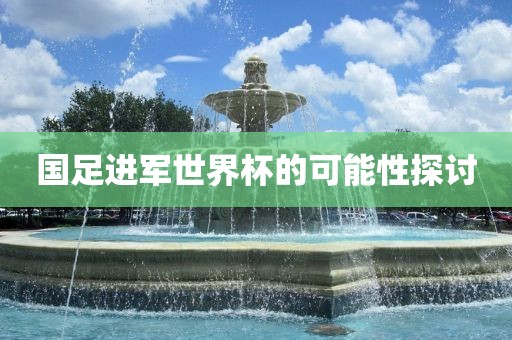 国足进军世界杯的可能性探讨