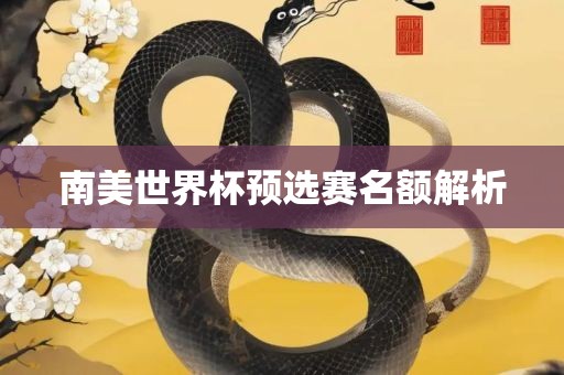 南美世界杯预选赛名额解析