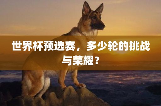世界杯预选赛，多少轮的挑战与荣耀？