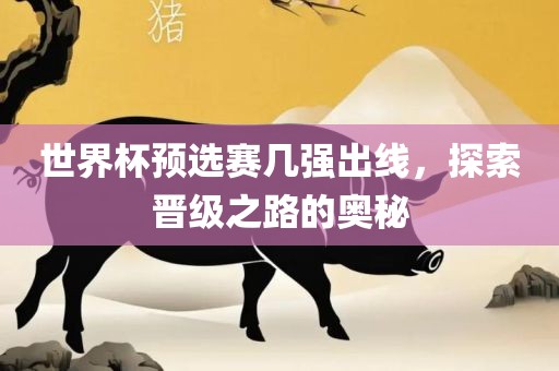 世界杯预选赛几强出线，探索晋级之路的奥秘