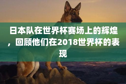 日本队在世界杯赛场上的辉煌，回顾他们在2018世界杯的表现