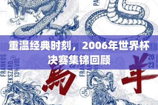 重温经典时刻，2006年世界杯决赛集锦回顾