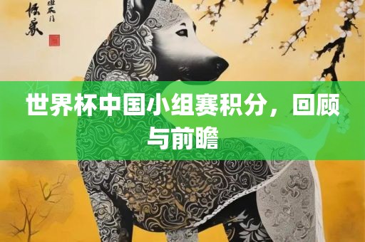 世界杯中国小组赛积分，回顾与前瞻