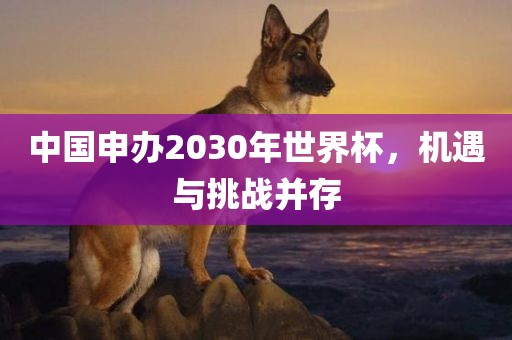 中国申办2030年世界杯，机遇与挑战并存