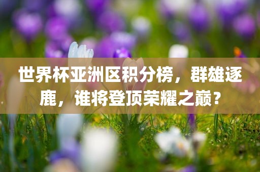 世界杯亚洲区积分榜，群雄逐鹿，谁将登顶荣耀之巅？