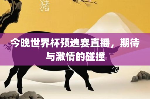 今晚世界杯预选赛直播，期待与激情的碰撞