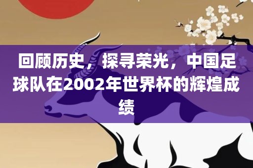 回顾历史，探寻荣光，中国足球队在2002年世界杯的辉煌成绩