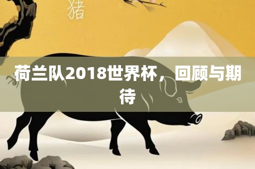 荷兰队2018世界杯，回顾与期待