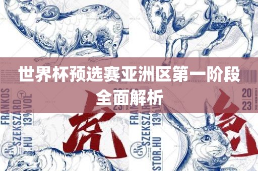 世界杯预选赛亚洲区第一阶段全面解析