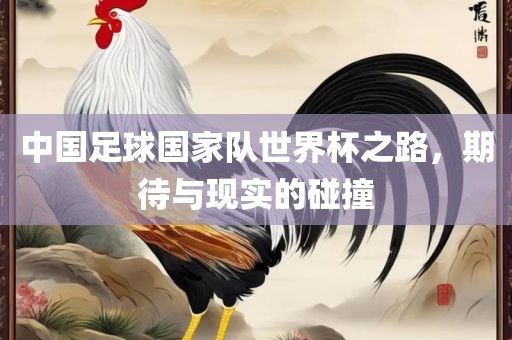 中国足球国家队世界杯之路，期待与现实的碰撞