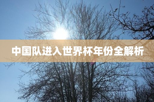 中国队进入世界杯年份全解析